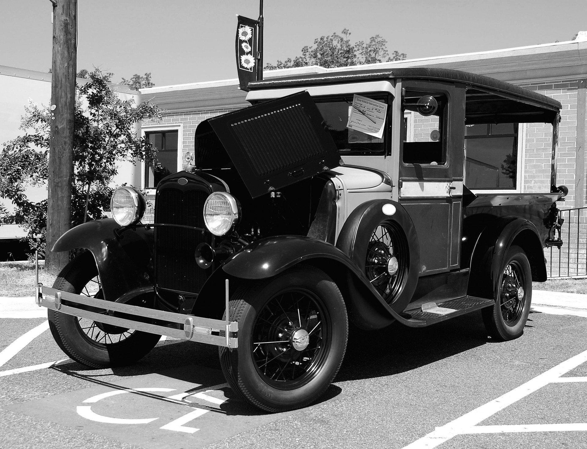 classic pickup truck vintage free photo