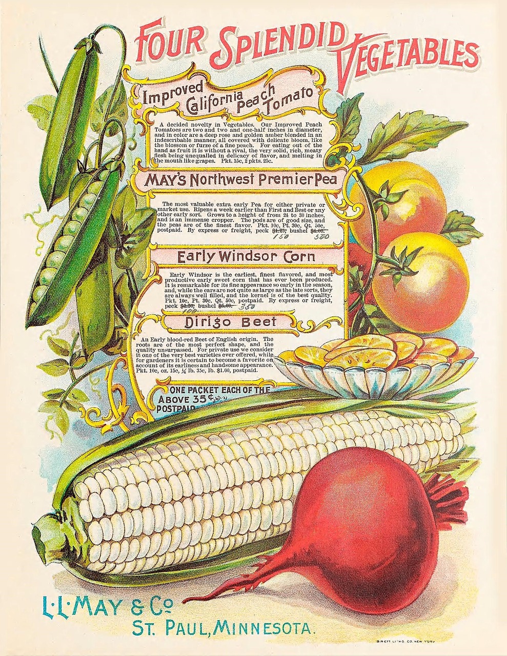 vintage vegetables seed catalog free photo