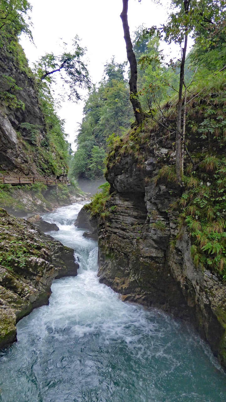 vintgar gorge bled free photo