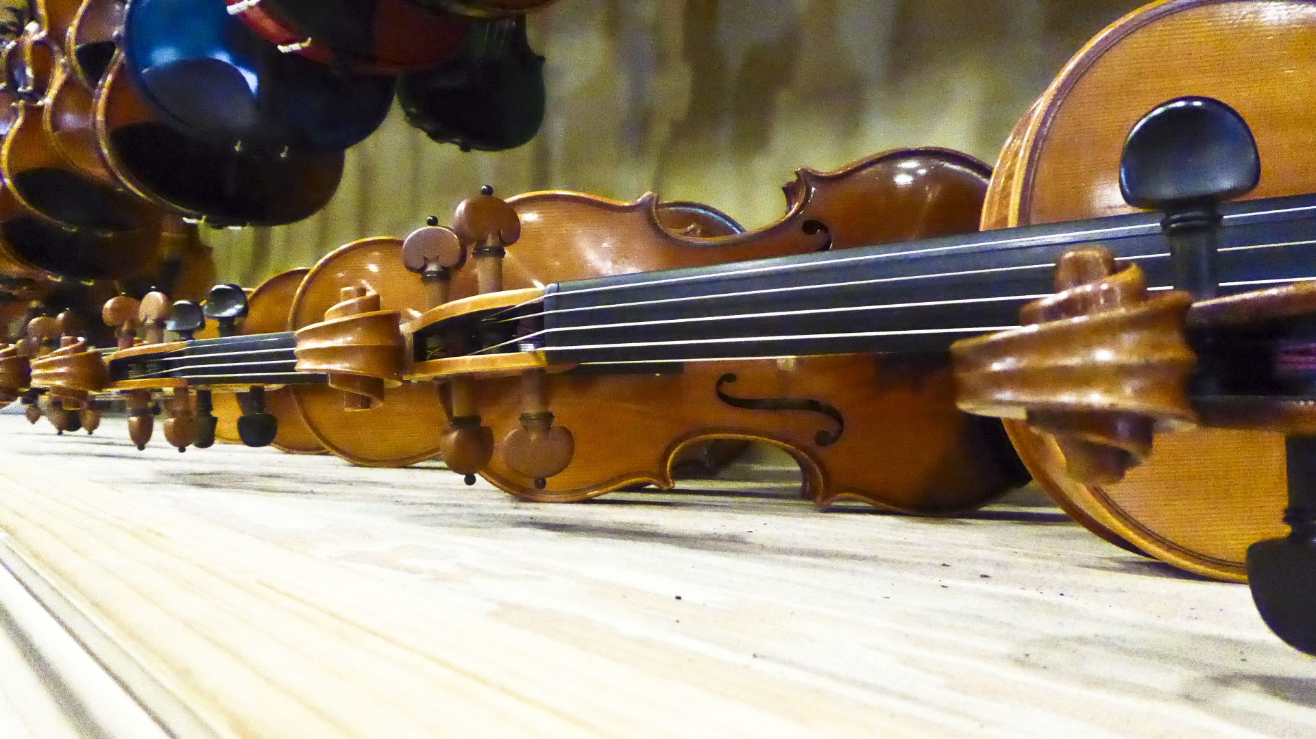 violin violins instrument free photo