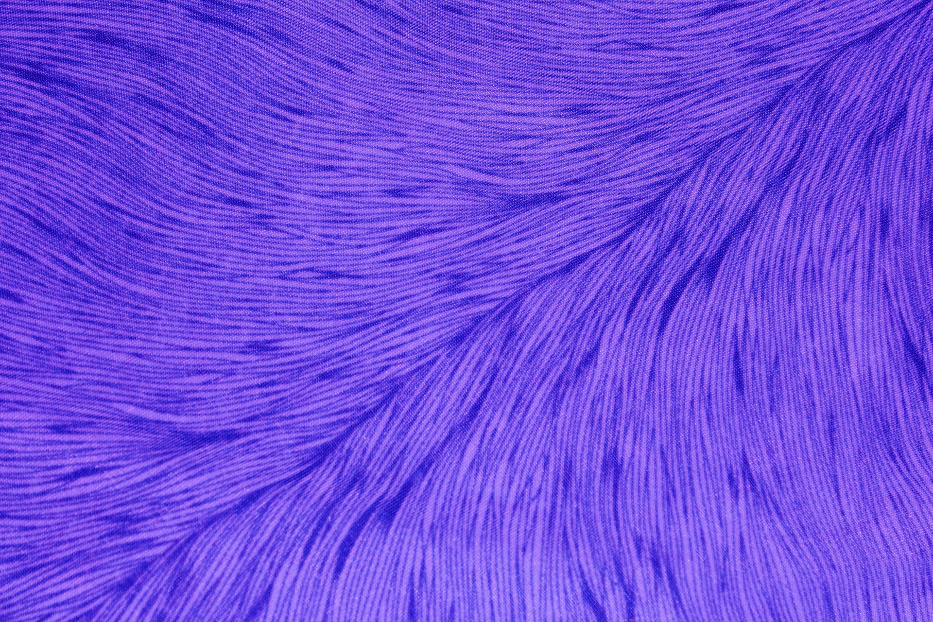 violet cloth background violet cloth free photo