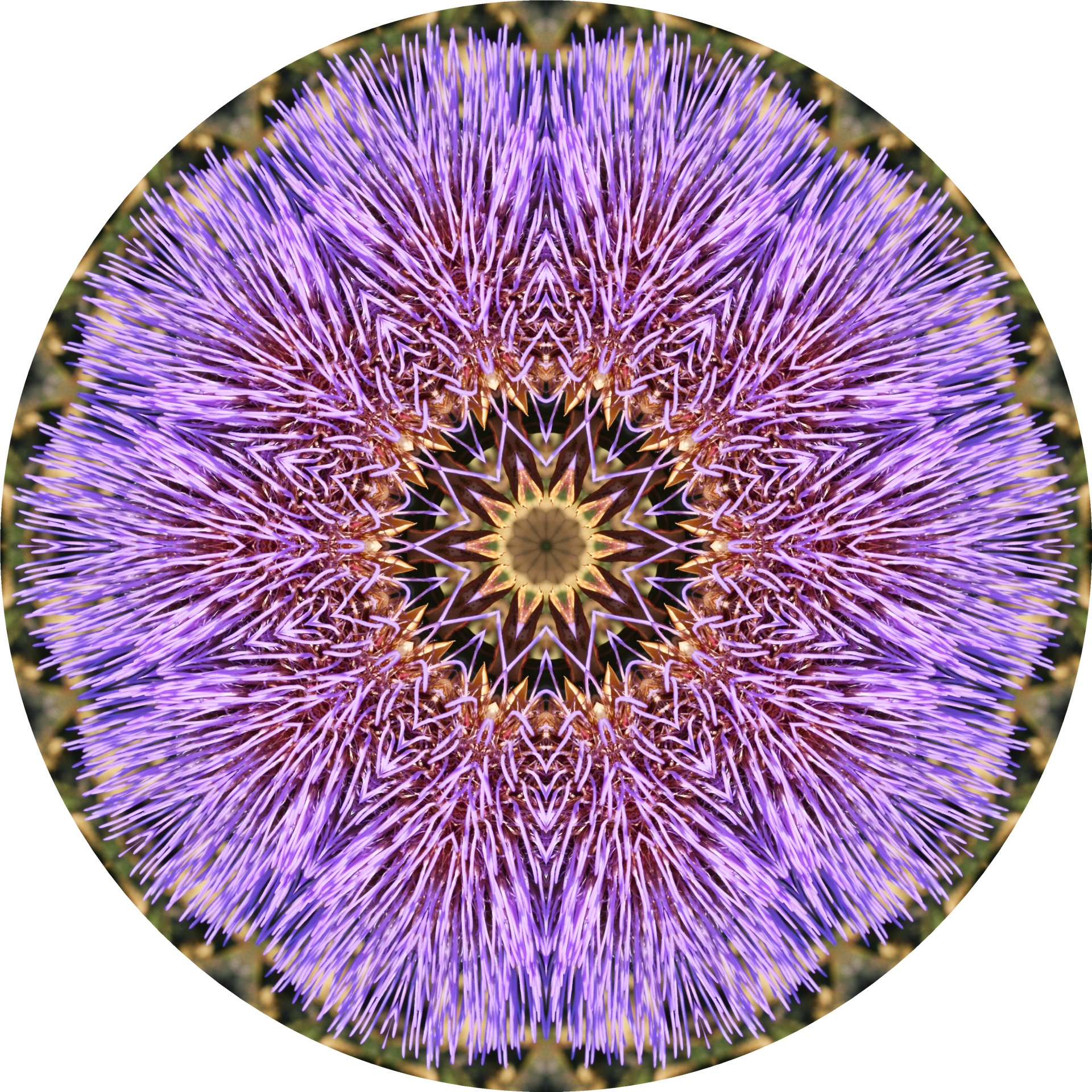 violet circle abstract free photo