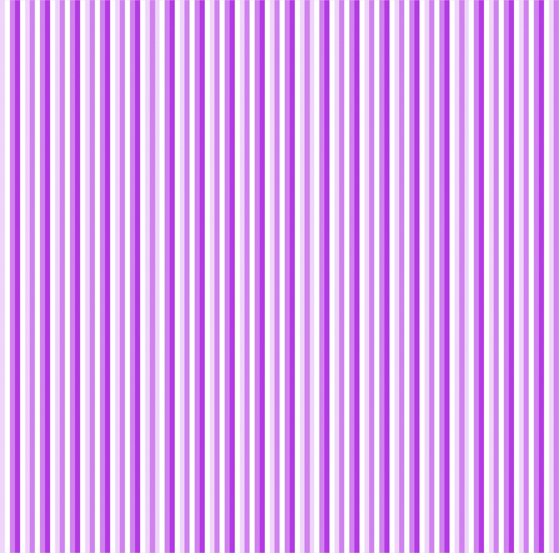 stripe stripes violet free photo