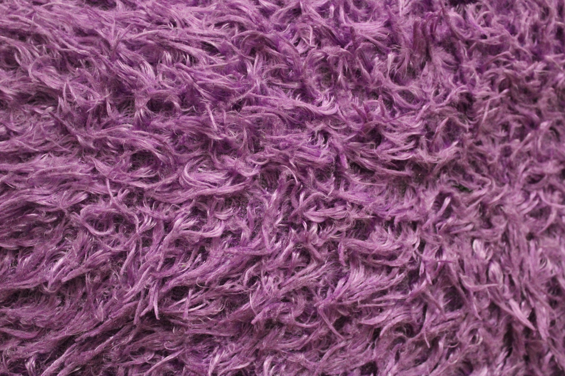 violet texture background violet texture free photo