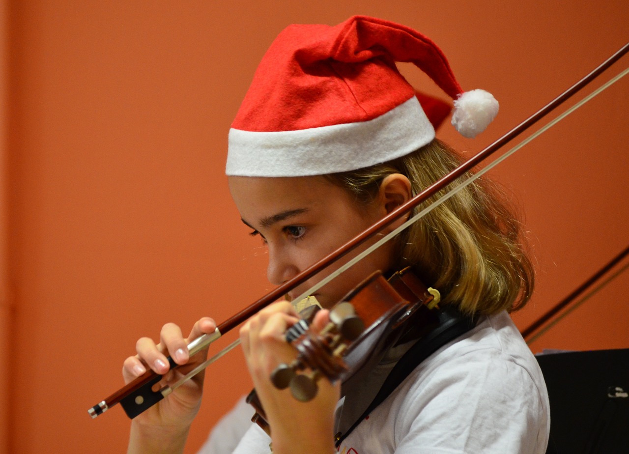 violin violinist christmas free photo