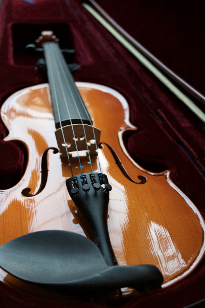 violin velvet case free photo