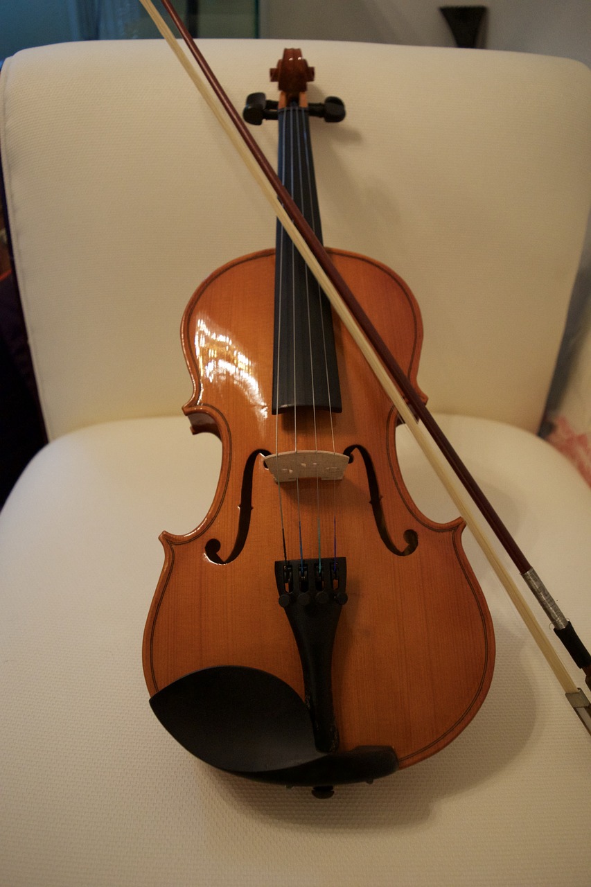 violin bow string free photo