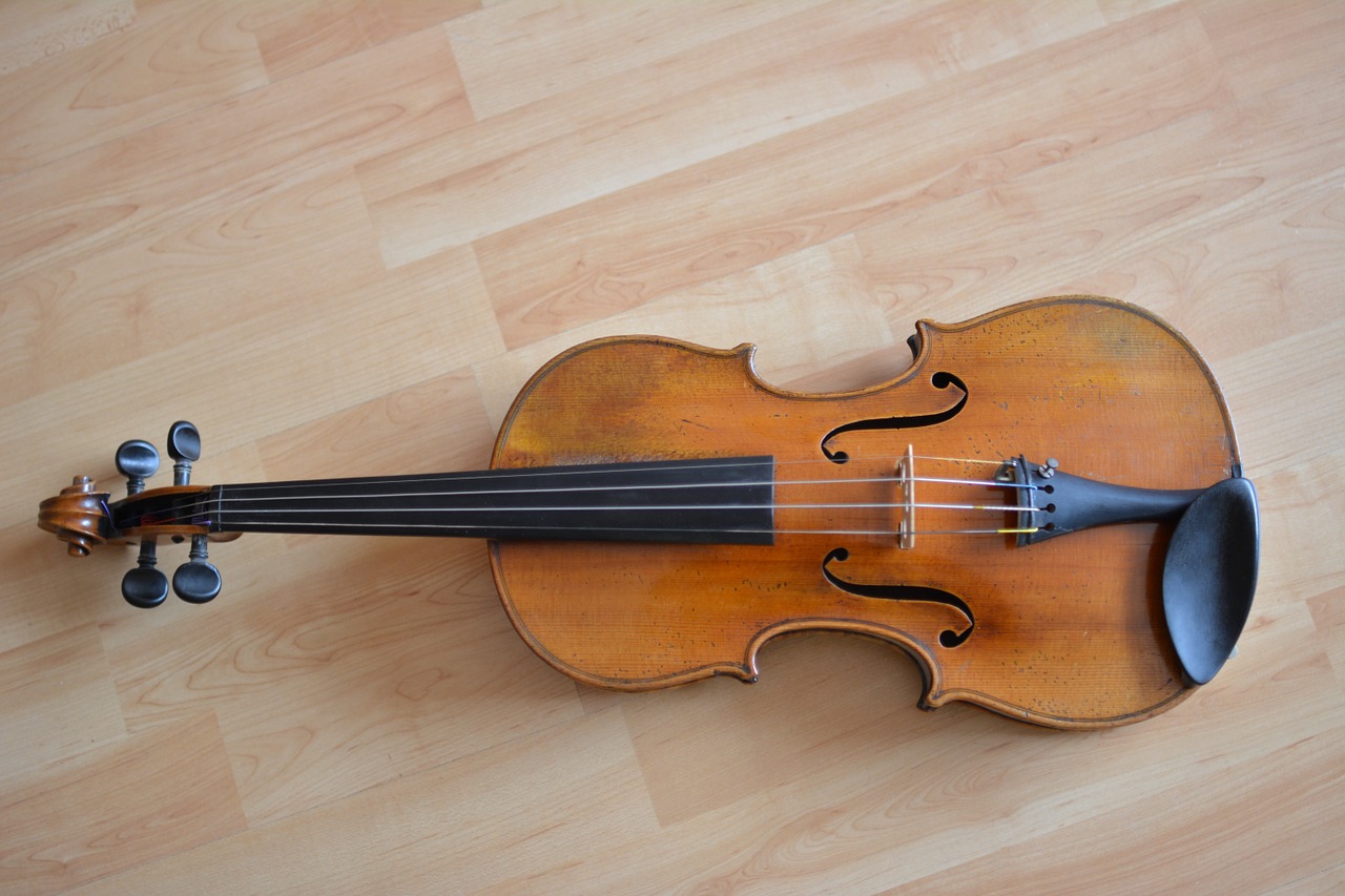 violin musical instrument classic free photo