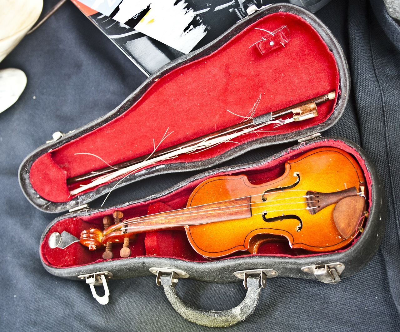 violin old instrument free photo