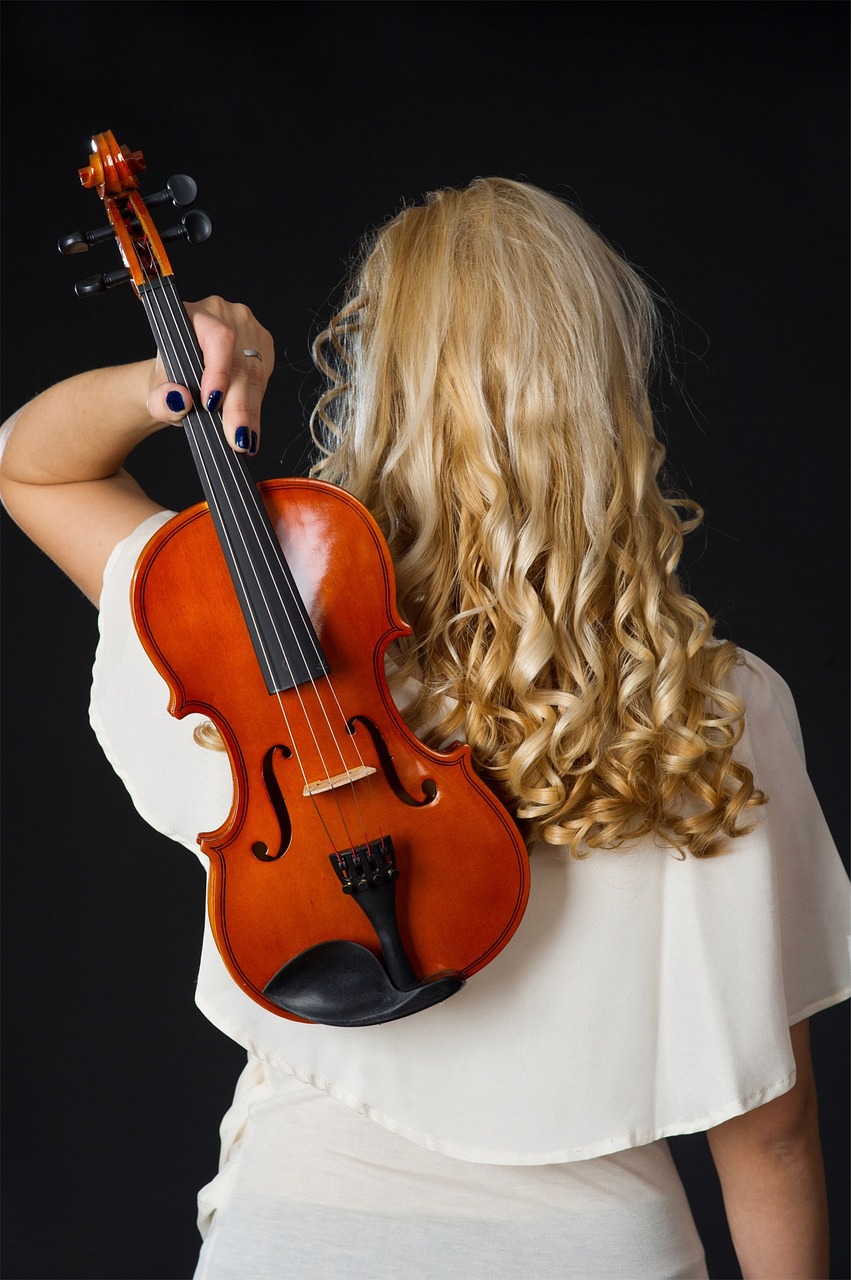 violin musician violinist free photo