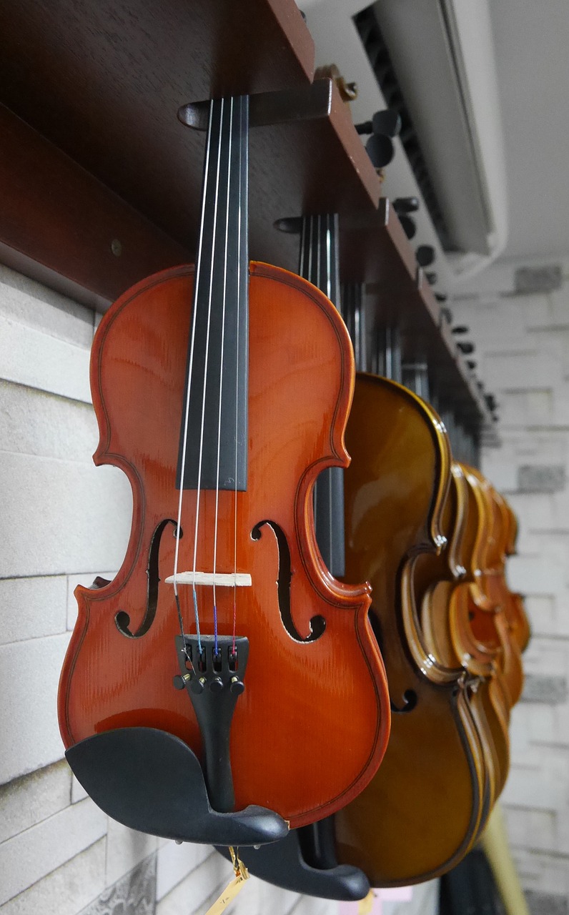 violin music instrument music free photo