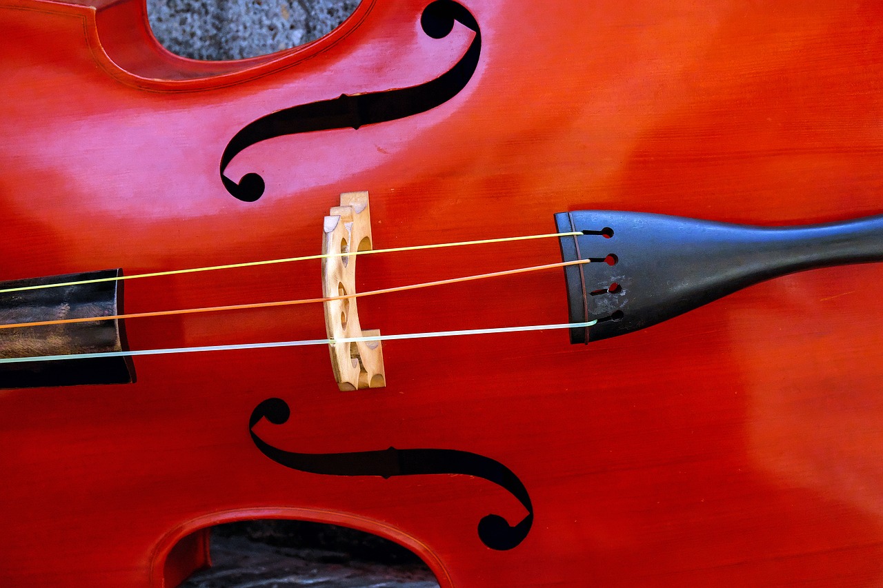 violin music instrument free photo