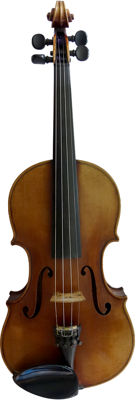 violin music instrument free photo