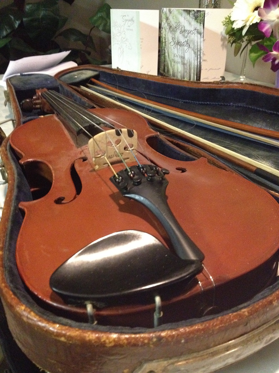 violin violin case fiddle free photo