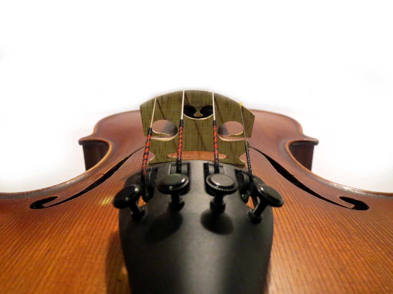 violin wood grain free photo