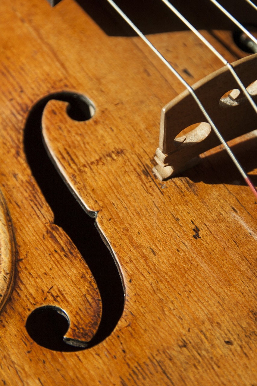 violin music strings free photo