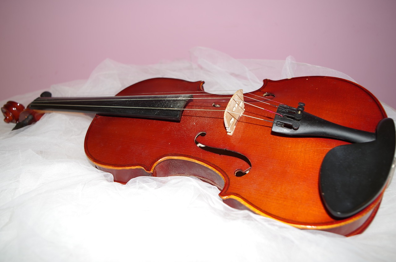 violin music tool free photo