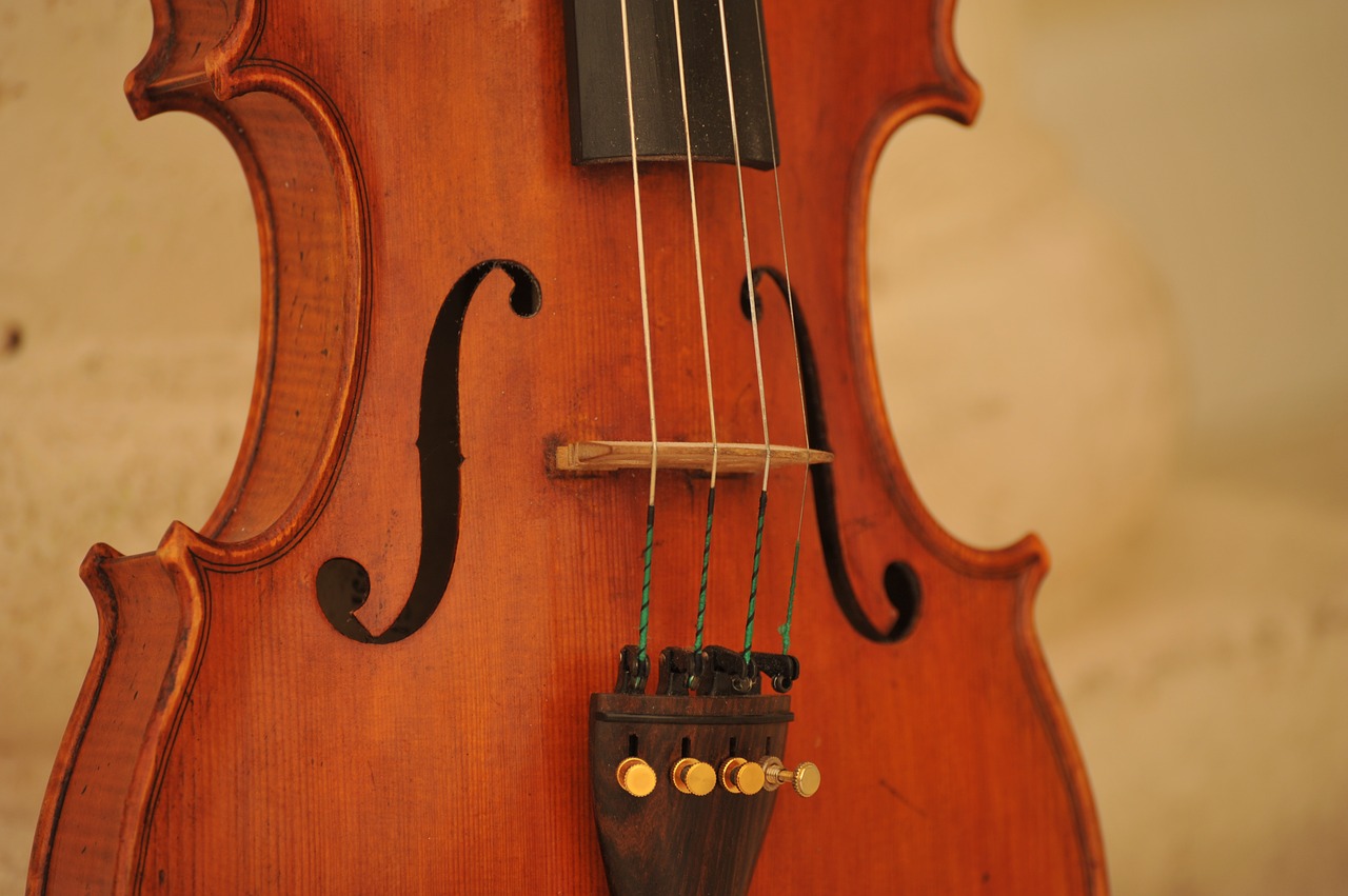 violin instrument music free photo