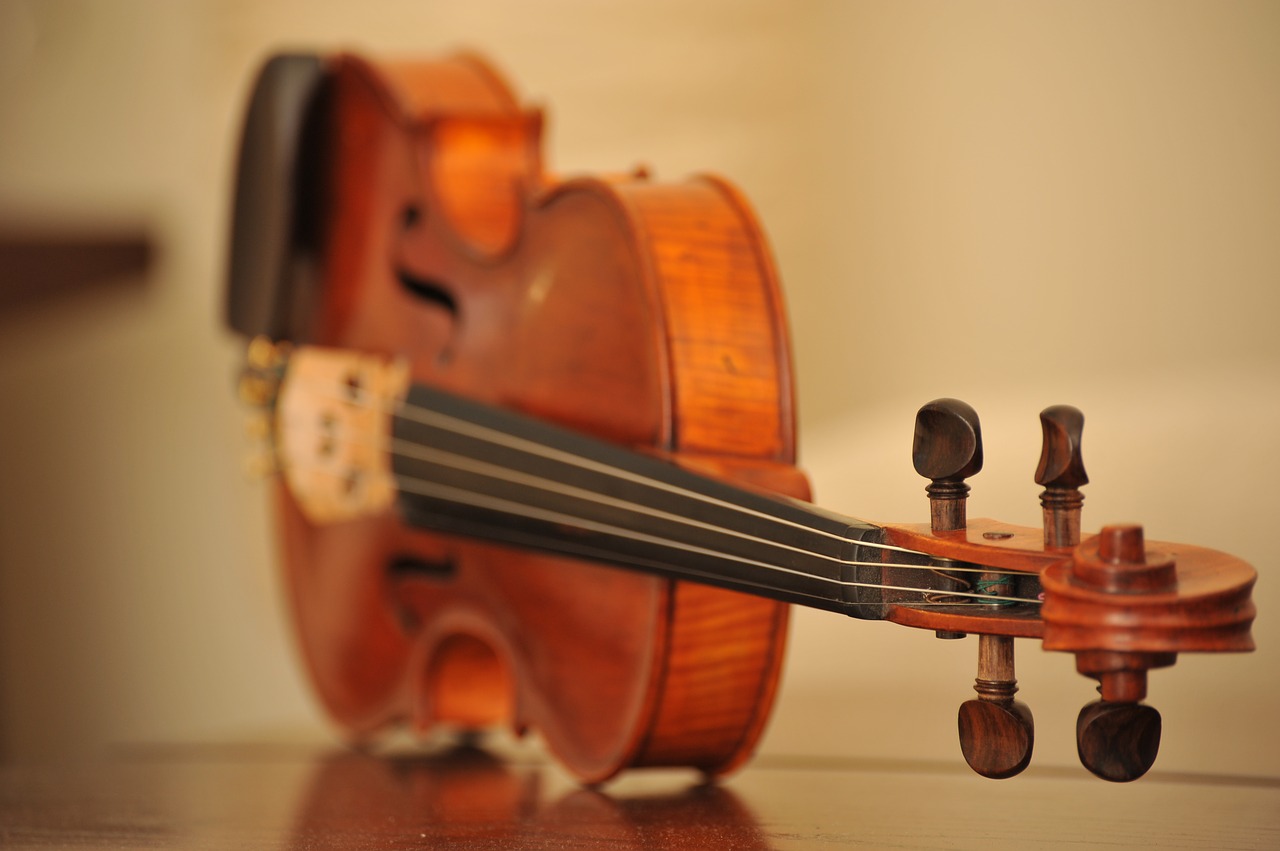 violin instrument music free photo