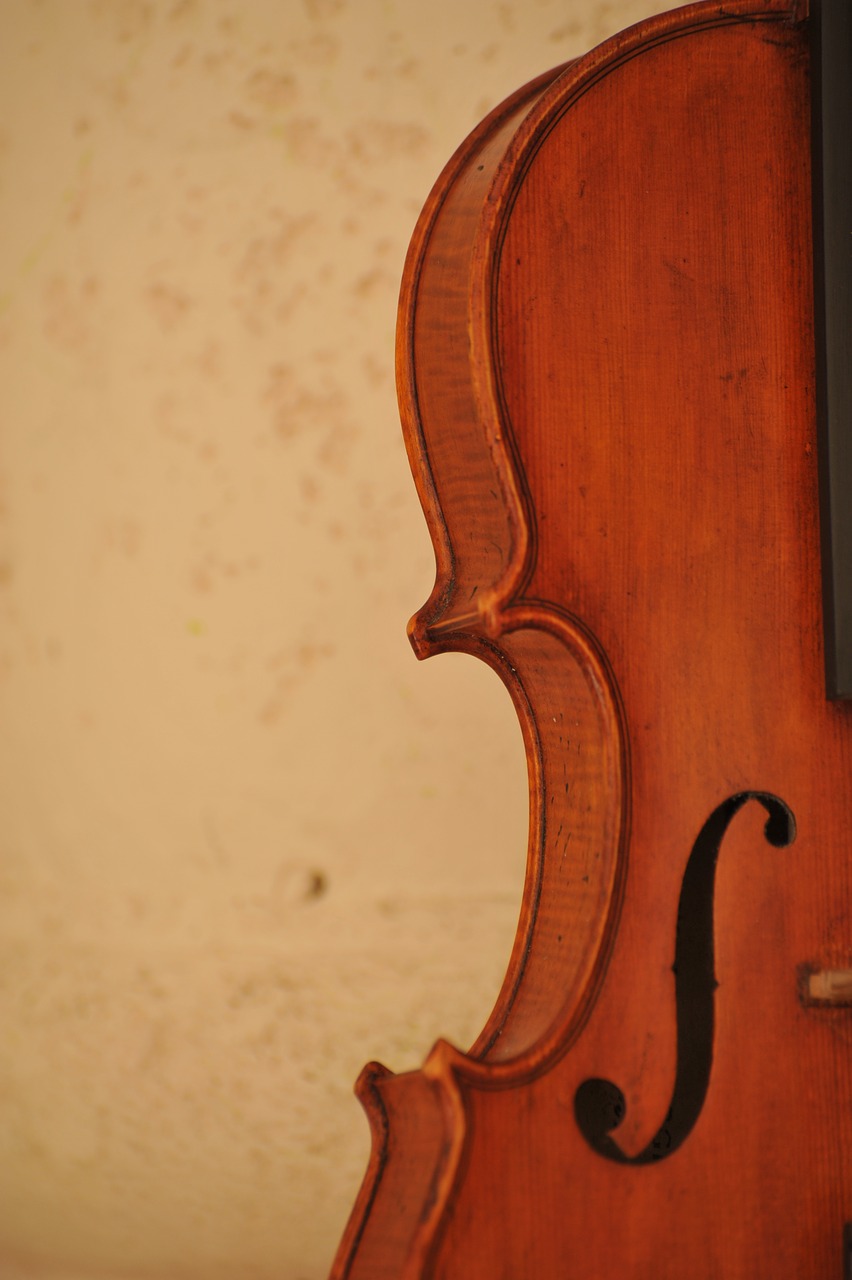 violin music art free photo