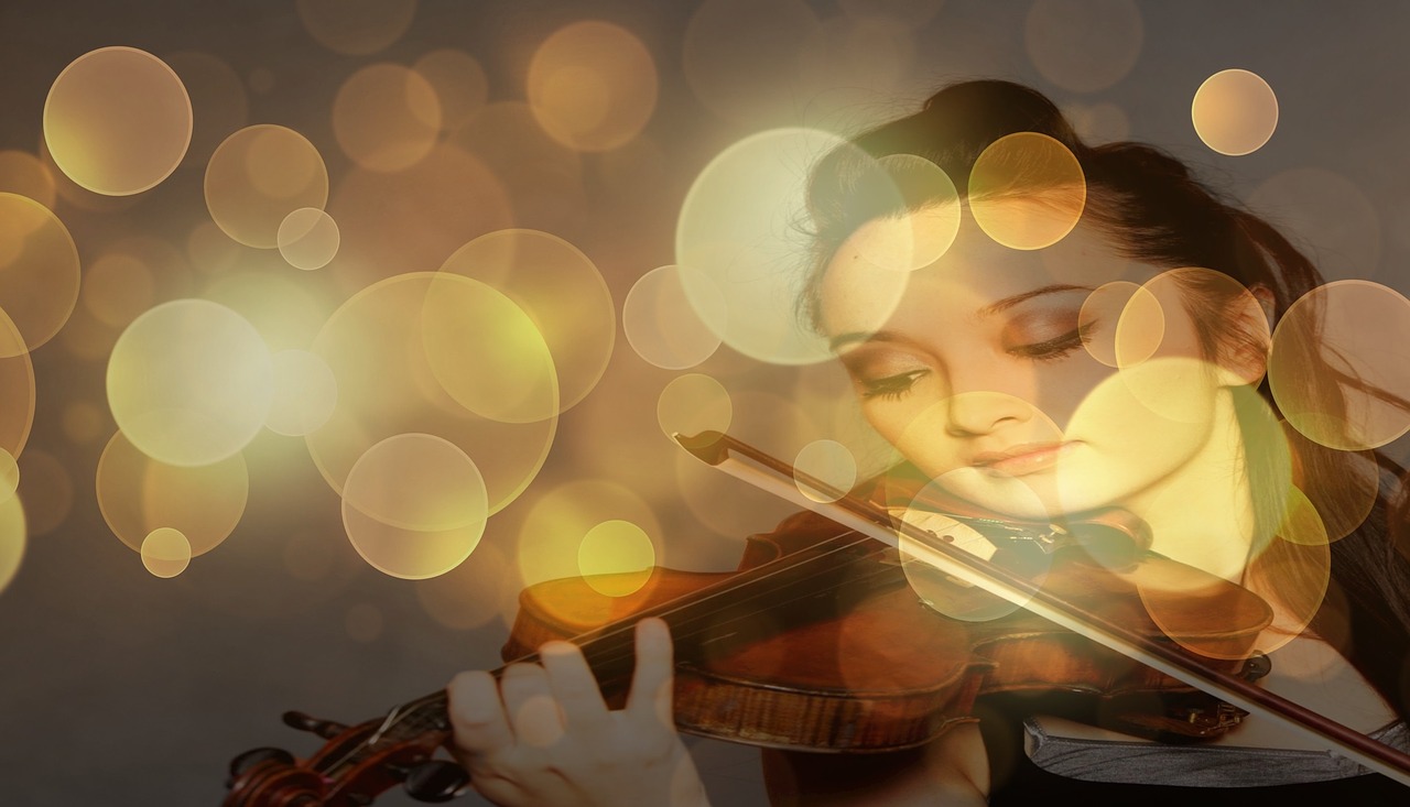 violin artist solistin free photo