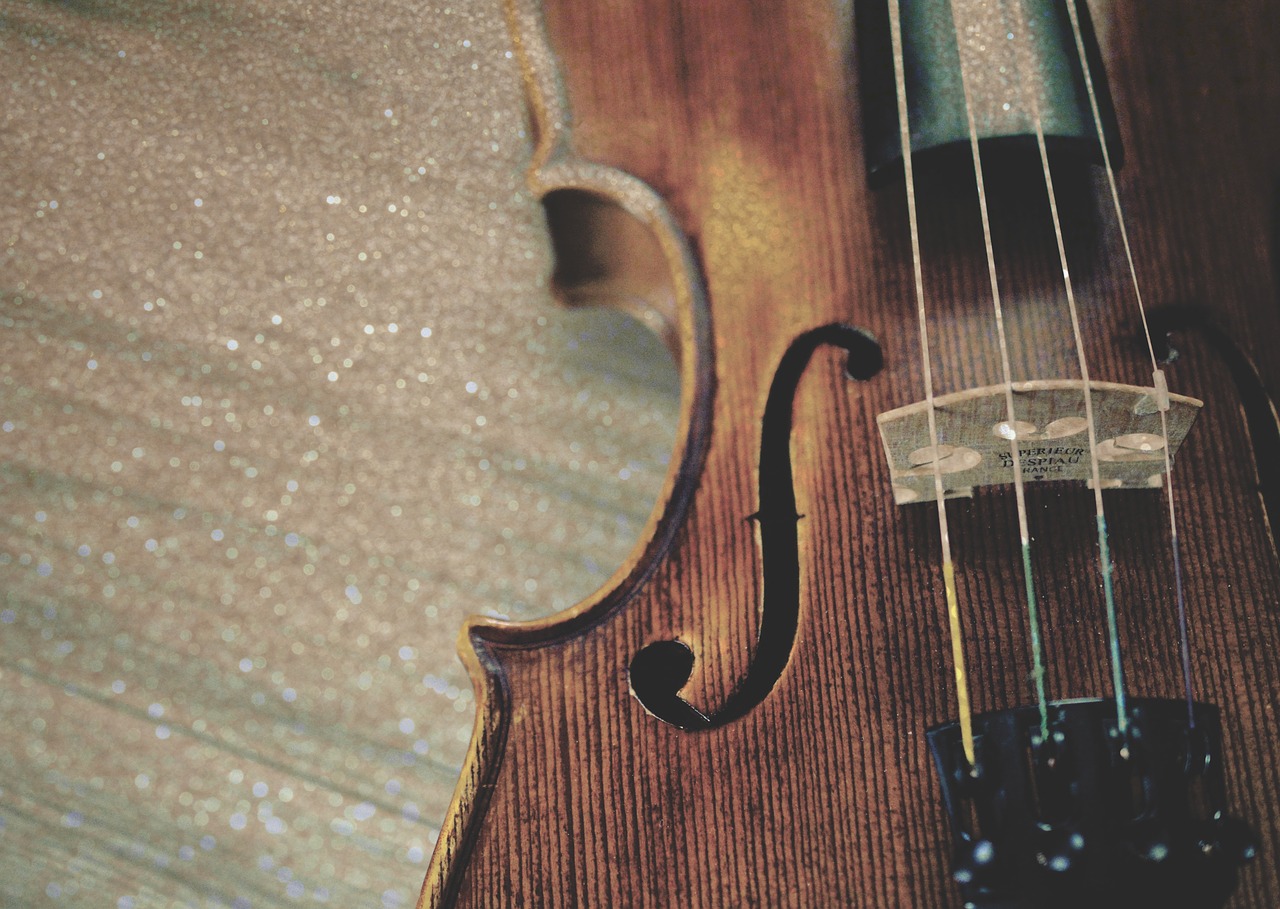 violin fiddle instrument free photo