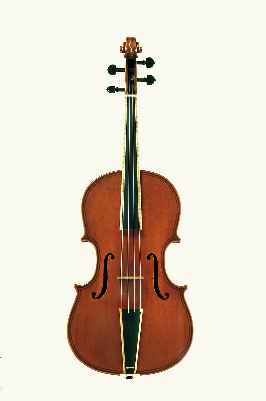 violin stringed instruments free pictures free photo