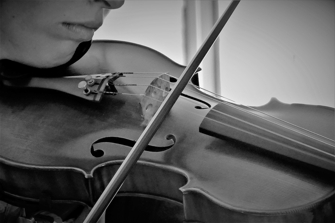 violin musical instrument music free photo