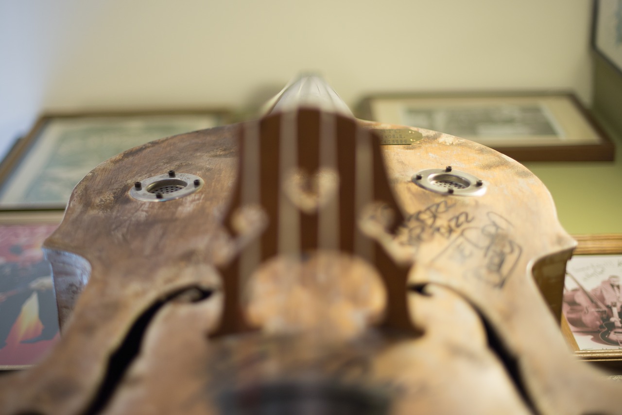 violin instrument music free photo