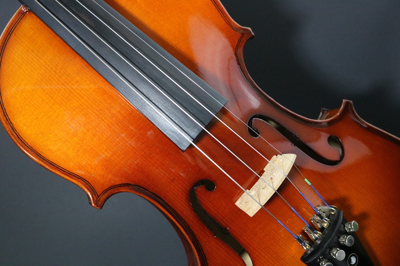 violin stringed musician free photo
