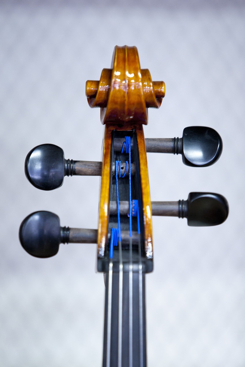 violin music instrument free photo