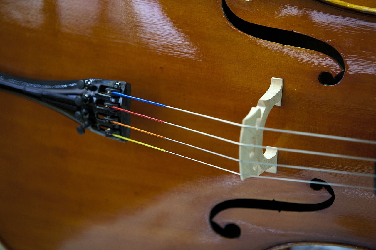 violin music instrument free photo