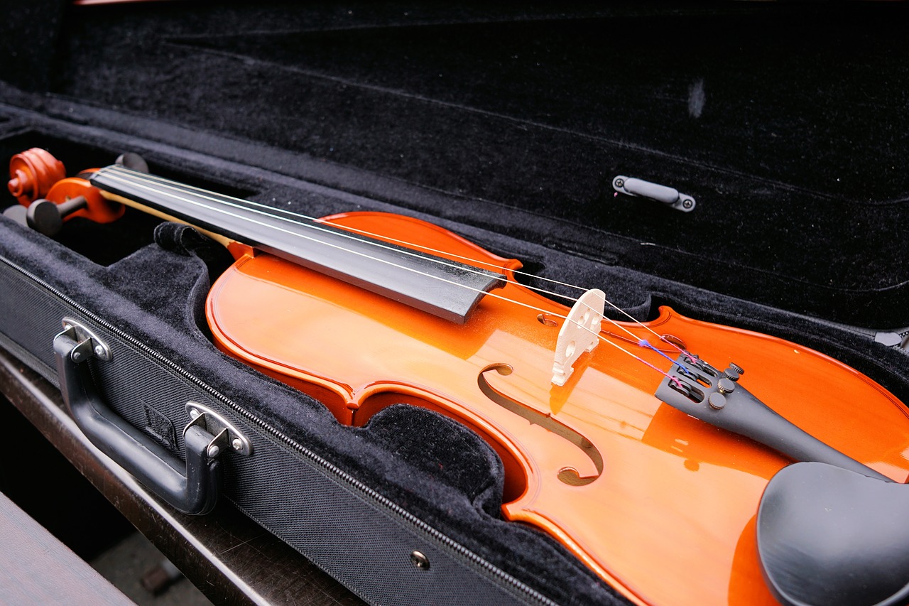 violin stringed instrument instrument free photo