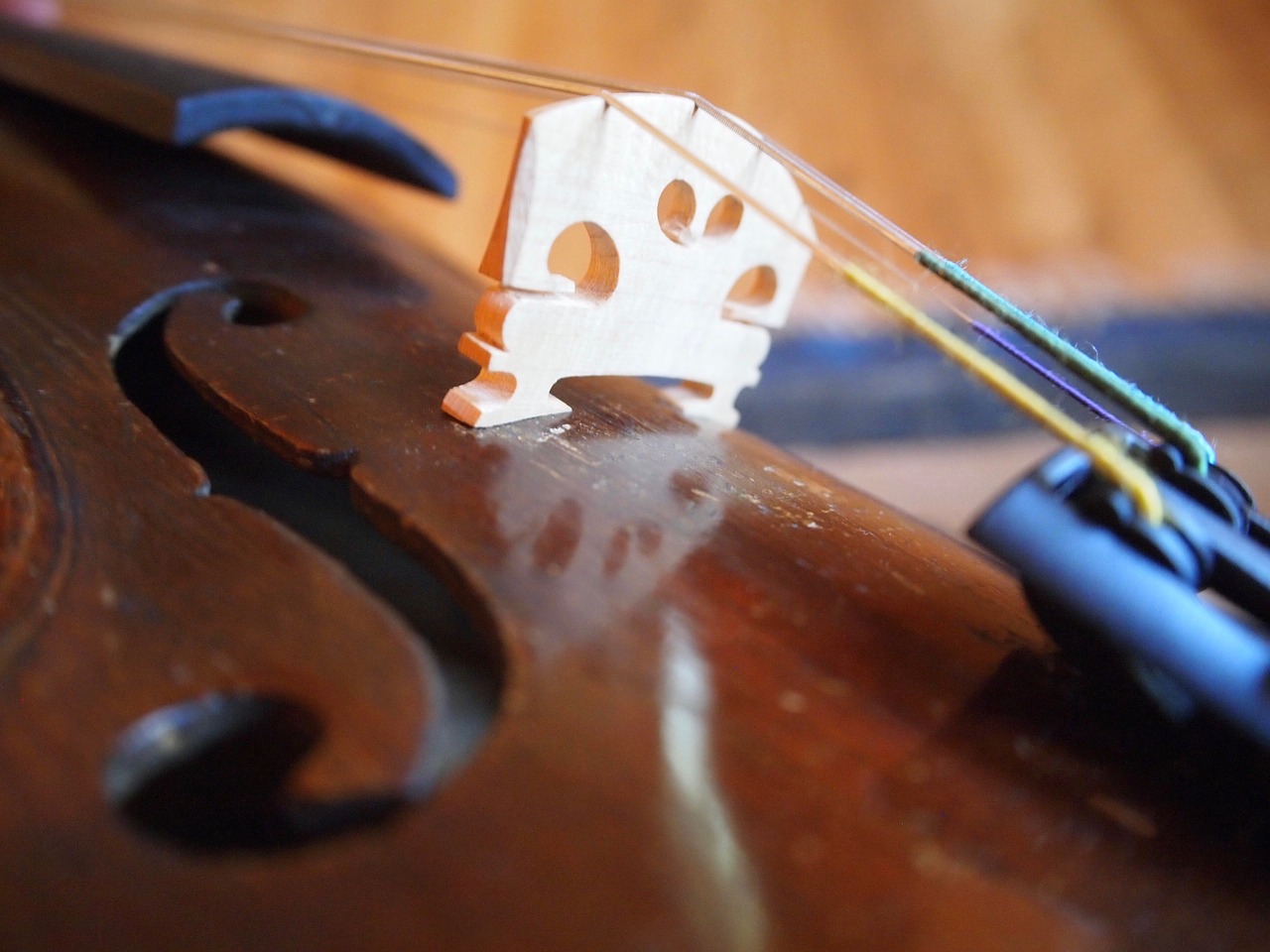violin music instrument free photo