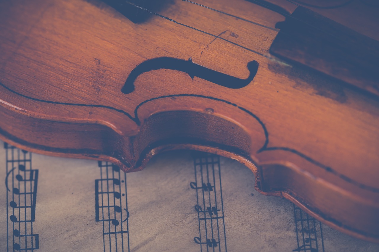 violin music instrument free photo