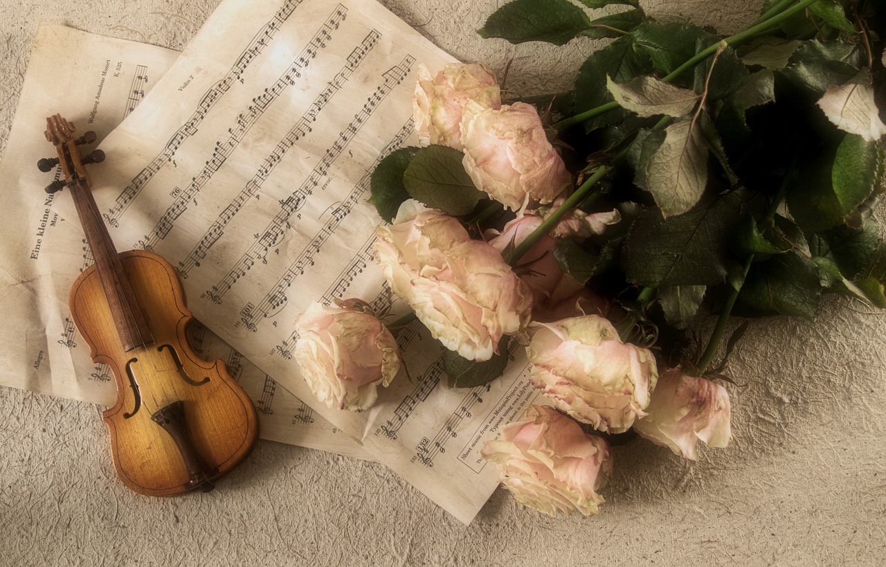 violin music instrument free photo