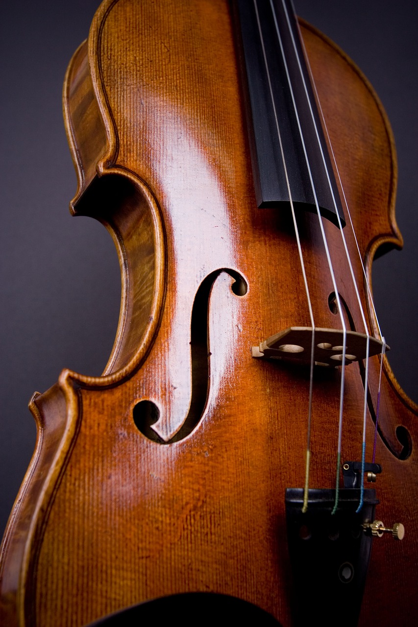violin viola orchestra free photo