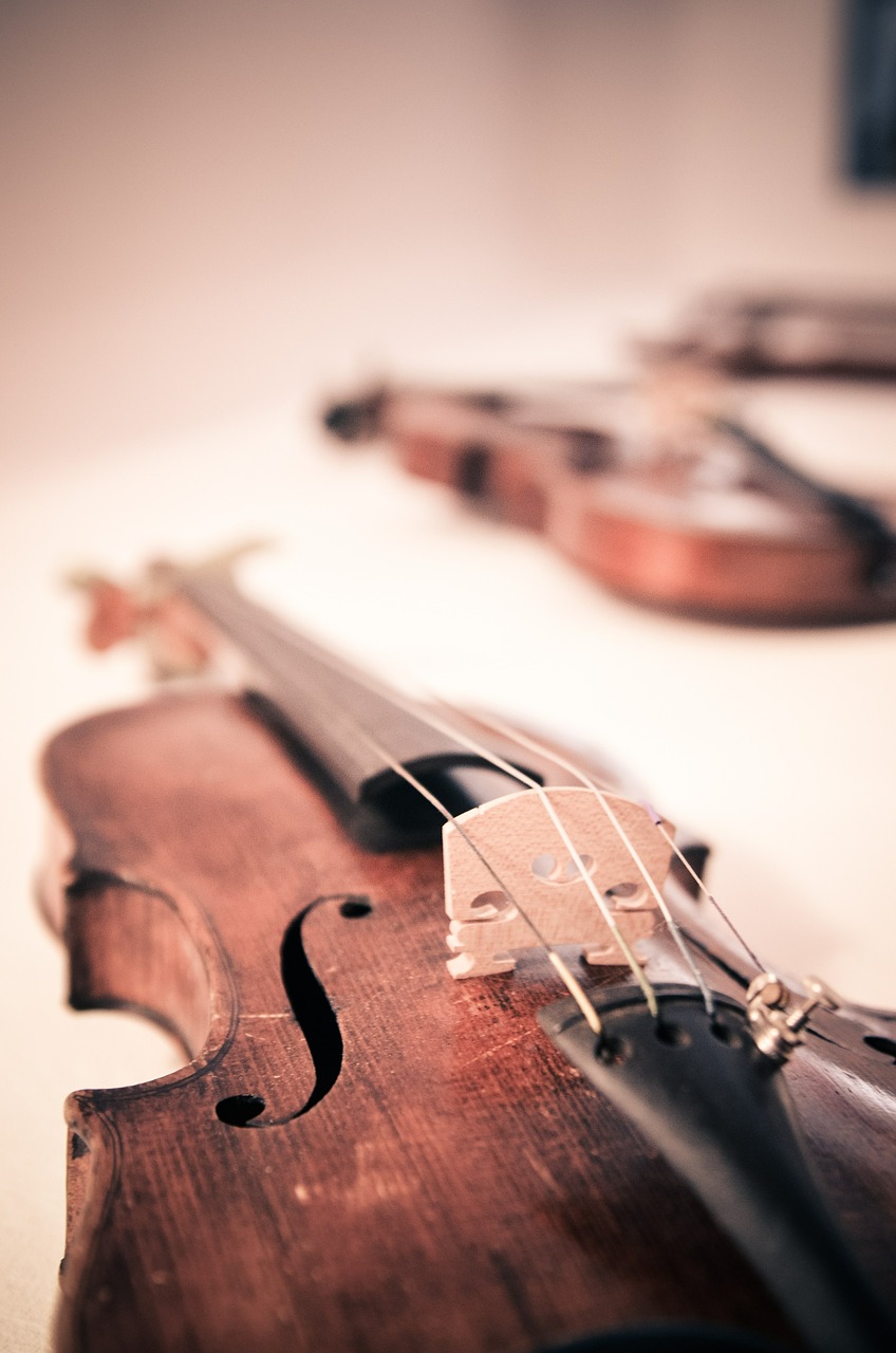 violin violins classical music free photo