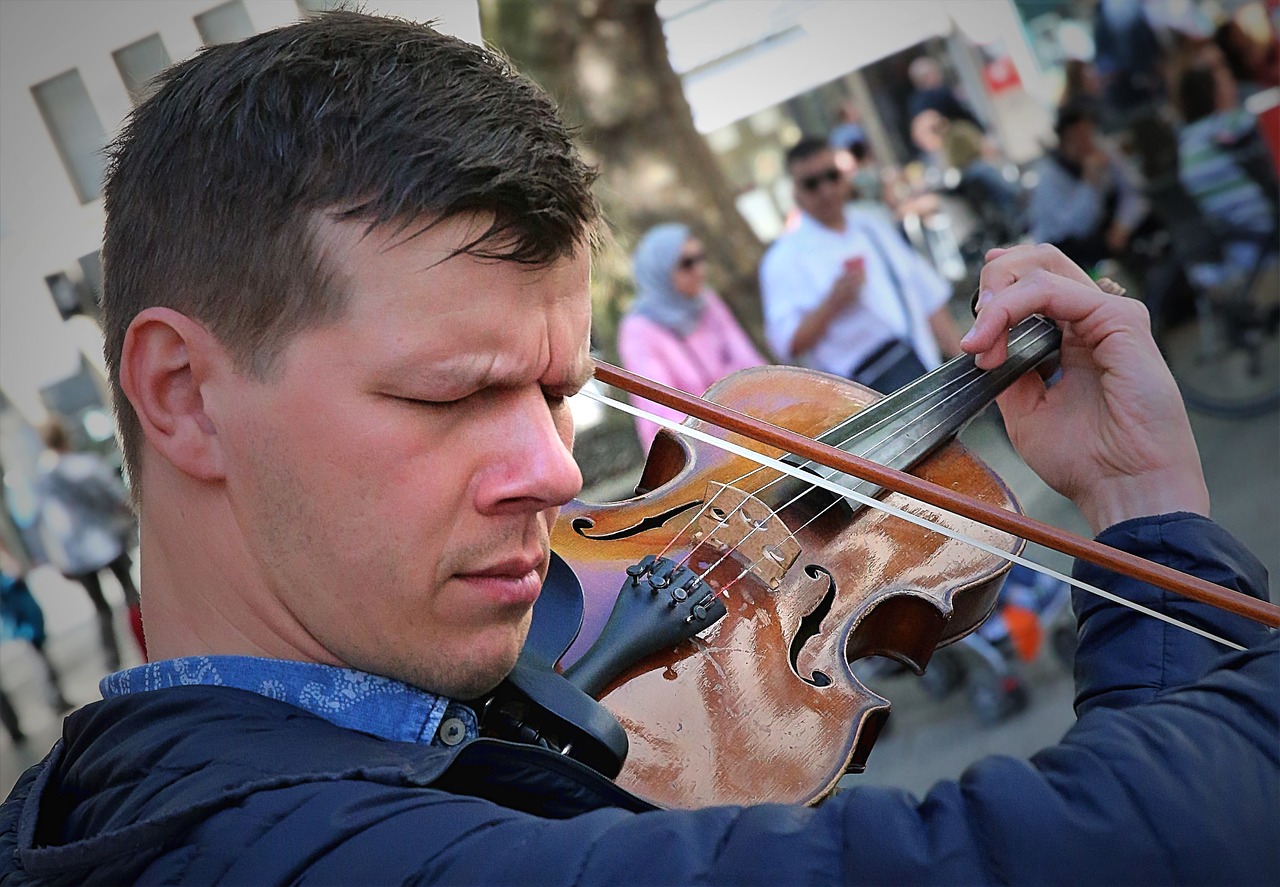 violin  geiger  music free photo
