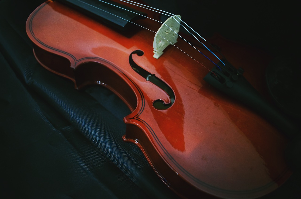 violin  music  musical free photo