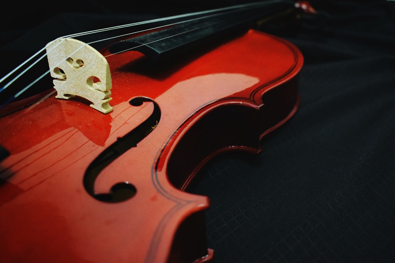 violin  music  design free photo
