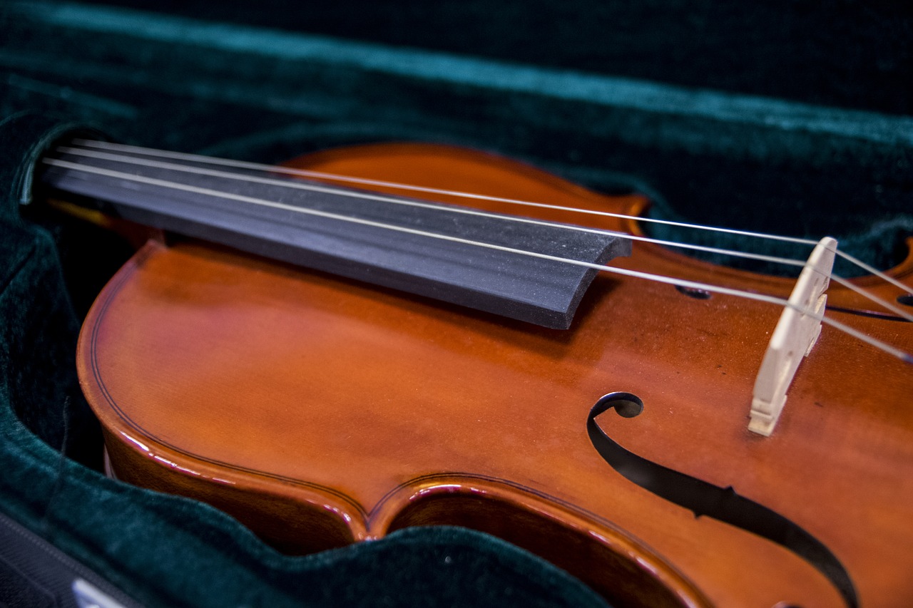 violin  musical instruments  string free photo