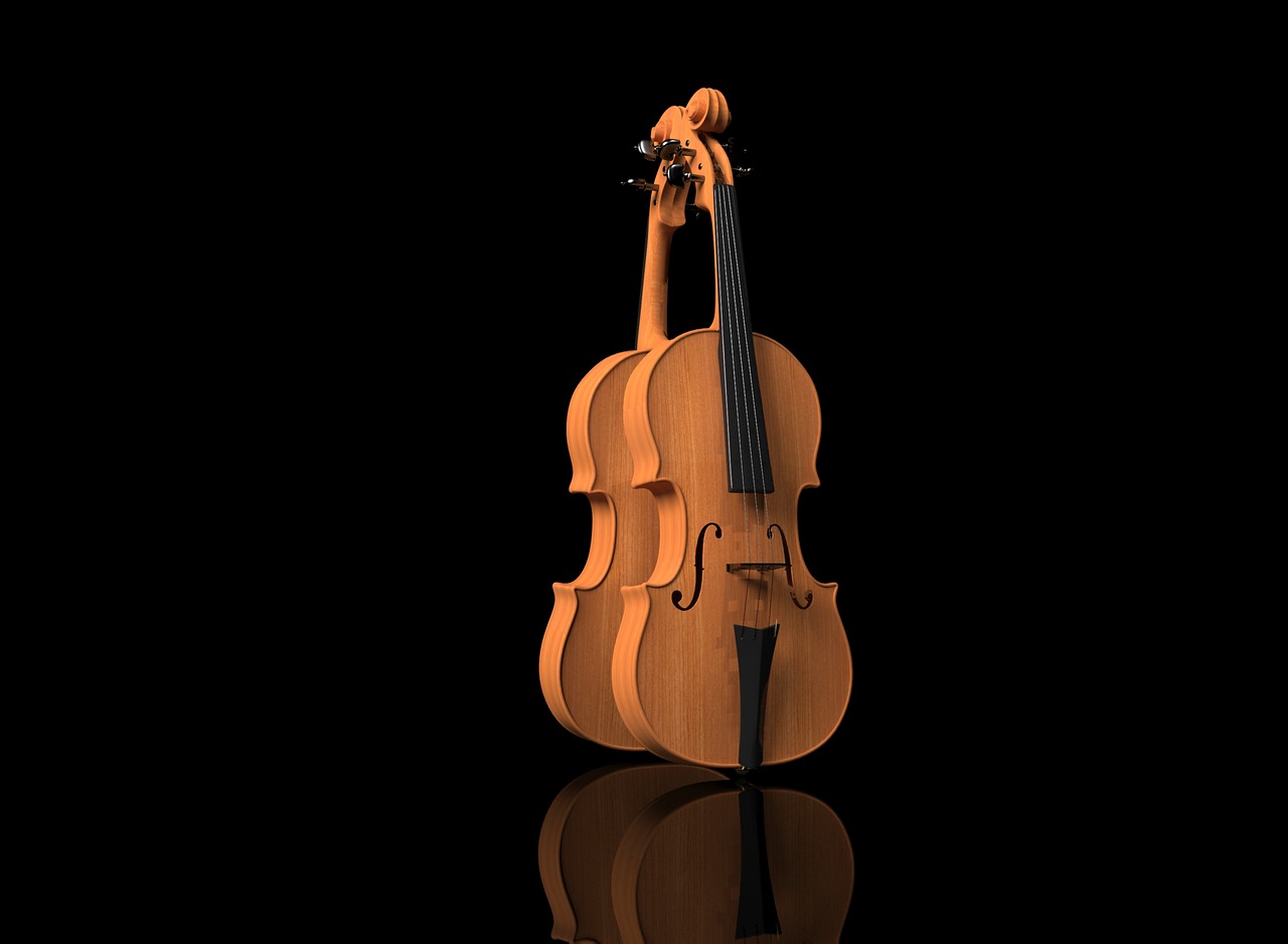 violin  violin on black background  music free photo