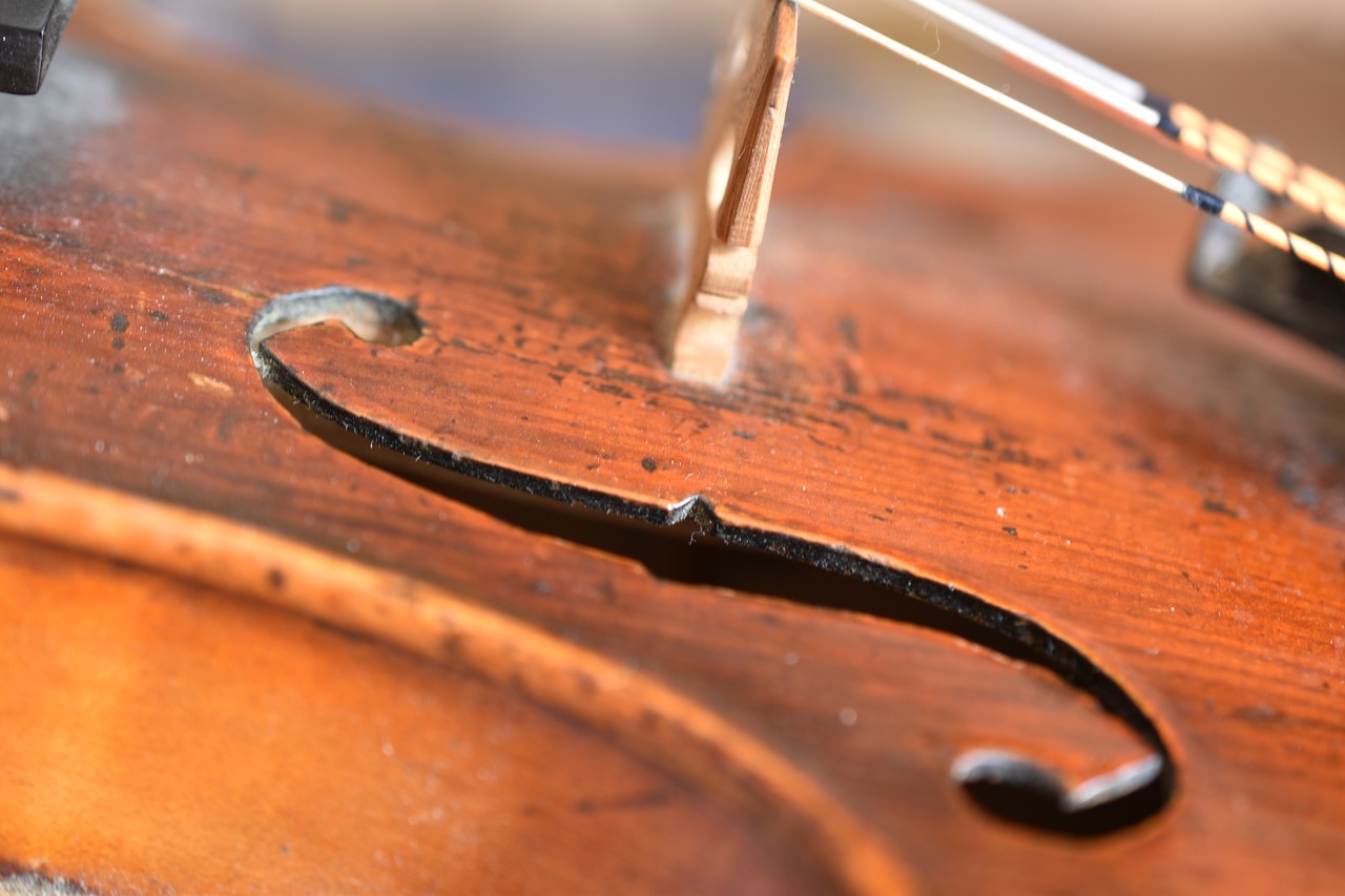 violin  f-hole  strings free photo