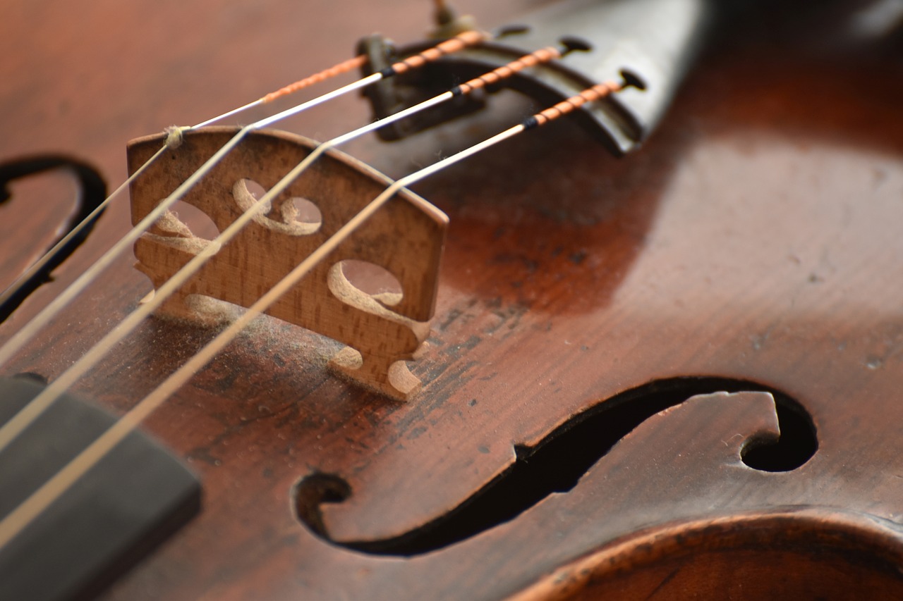 violin  wood  strings free photo