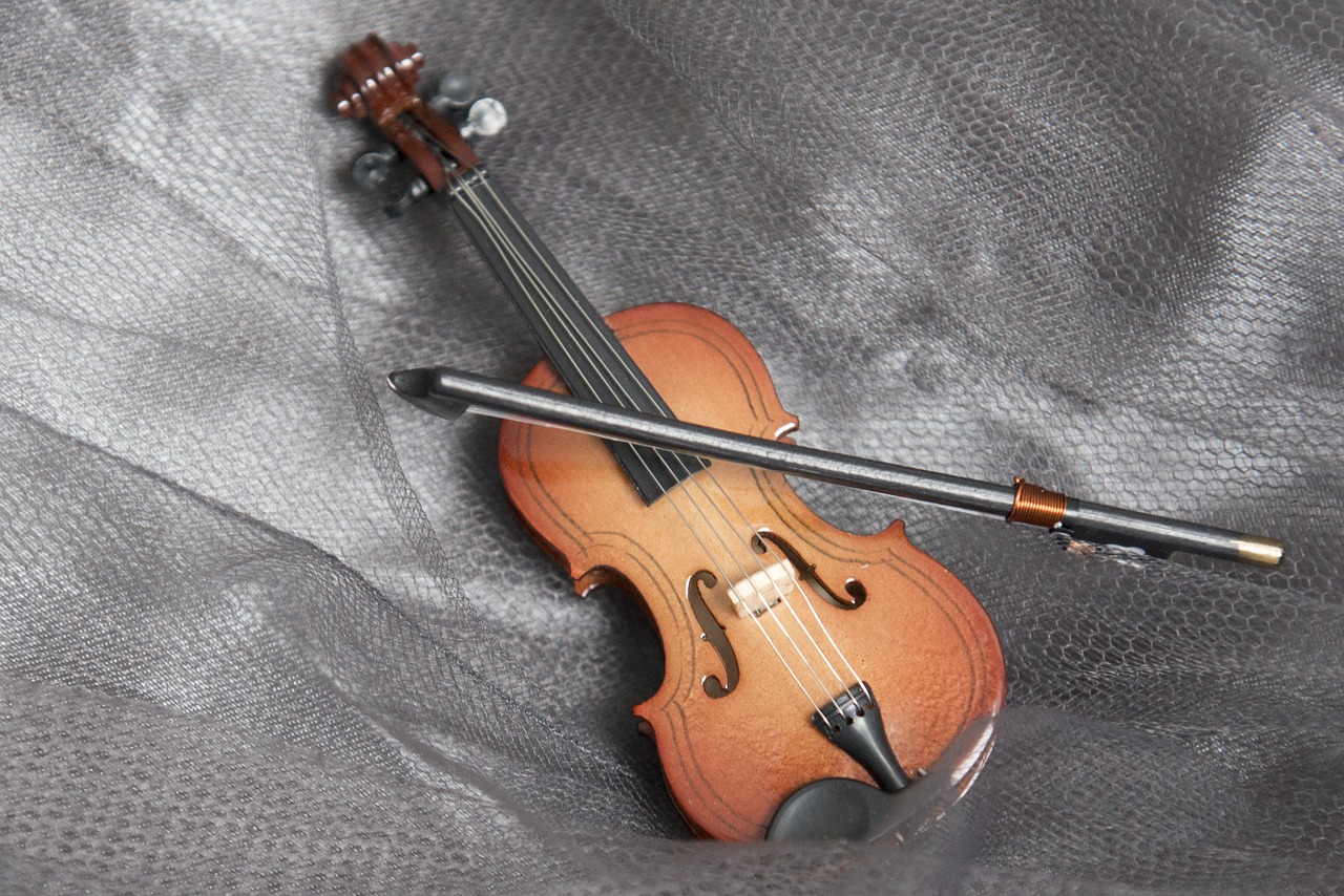 violin  music  instrument free photo