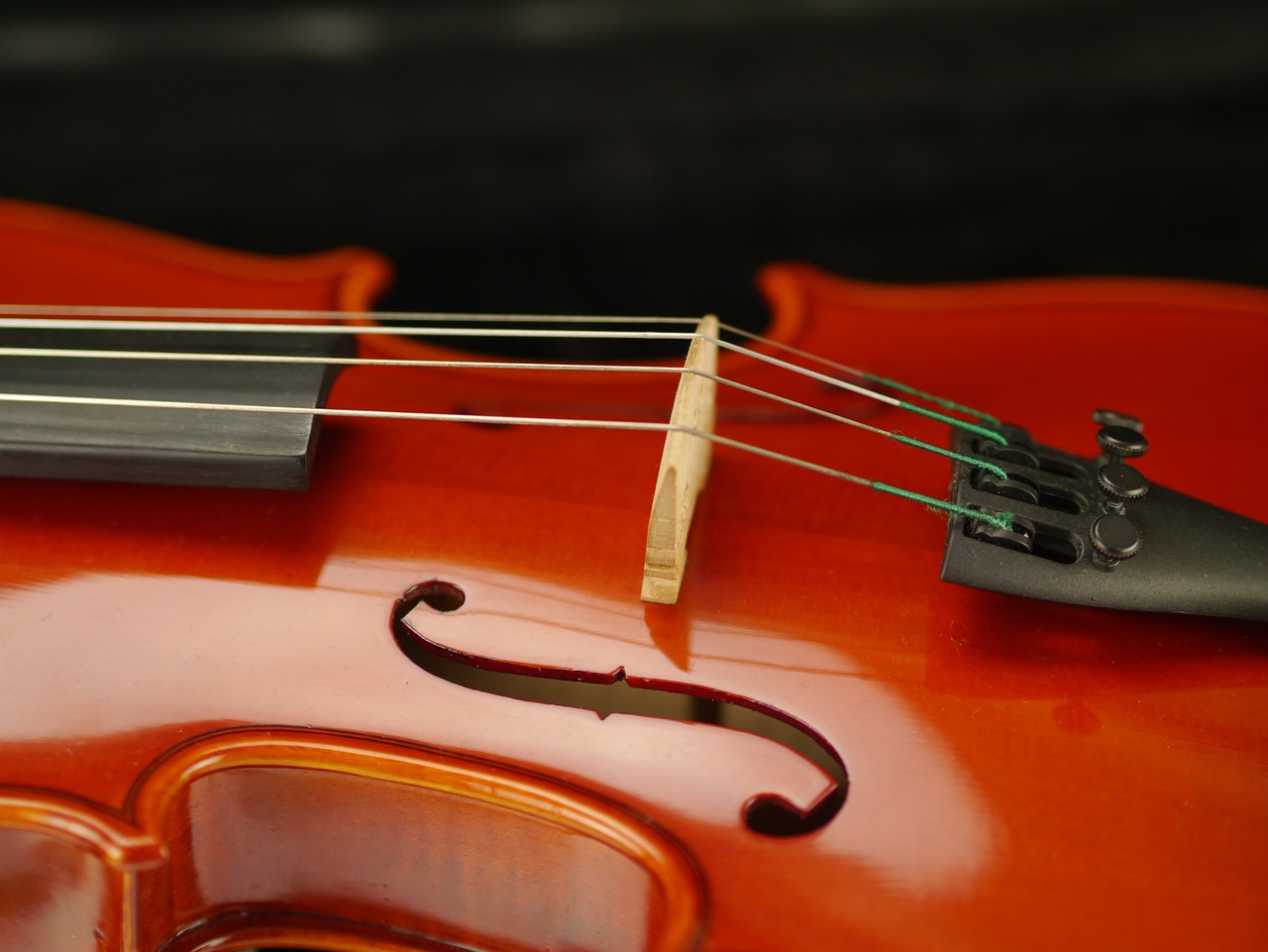 violin  instrument  classic free photo