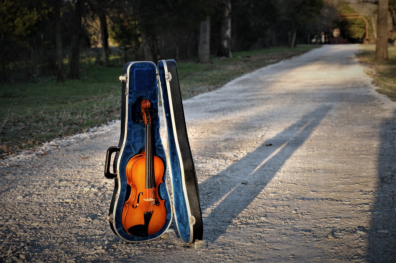 violin  instrument  music free photo