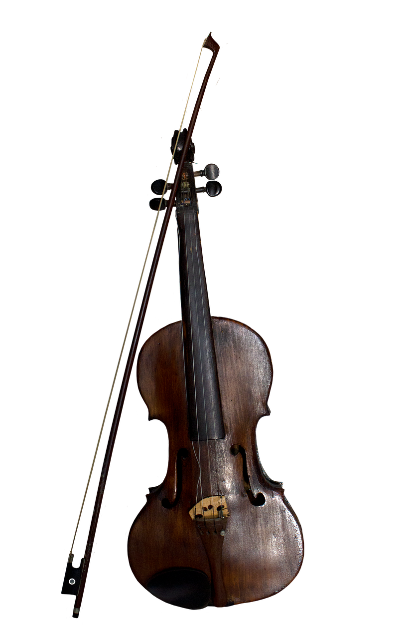 violin  instrument  music free photo