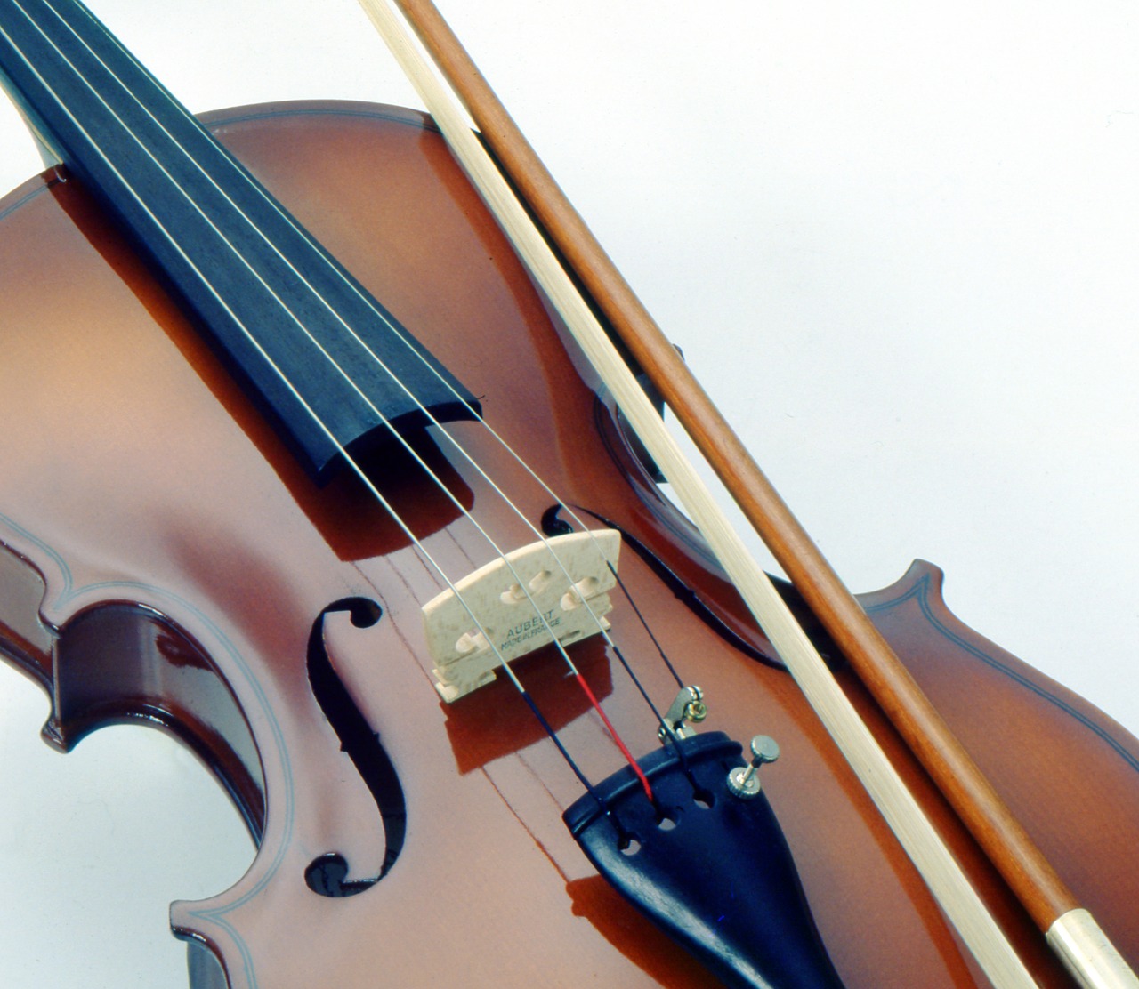 violin  music  instrument free photo